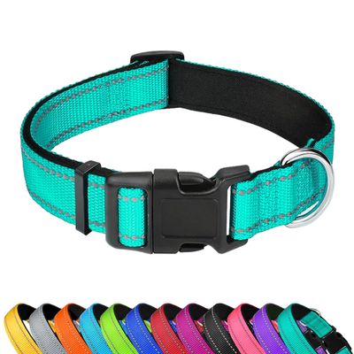 LZGOPE Reflective Dog Collar, Adjustable Neoprene Padded Nylon for Medium Dogs, Cyan, L