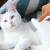 Pet Grooming Comb, Cat Brush with Soft Gel Handle view 2