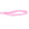 Leash for Poultry and Livestock, Durable Nylon Outdoor Leash with Small Design on the Back, Comfortable Duck Harness (XS) view 4