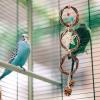 Natural Bird Toy with Swing and Pine Cone view 3