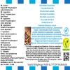 Chocolate, Grape & Nut Flavor Concentrate - Vegan - Sasami - 10 ml view 4