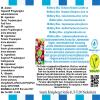 MintBerry Bliss - Strawberry-Raspberry-Lime Ice Flavor Concentrate - Vegan - Sasami - 10 ml view 4