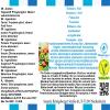 Strawberry Kiwi Flavor Concentrate, Vegan, Sasami, 10 ml view 4