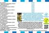 Tequila Flavor Concentrate - Vegan - Sasami - 10 ml view 4