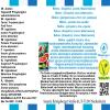 Mellow (Grapefruit, Lime, Watermelon) Flavor Concentrate - Vegan - Sasami - 10 ml view 4