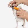 Portable Dog Toothbrush, 1 Set, Double-Headed, PP and PVC view 4