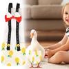 Chicken and Duck Diapers view 2