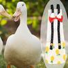 Chicken and Duck Diapers view 3