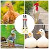 Chicken and Duck Diapers view 4