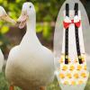 Duck and Chicken Diapers | Adjustable Poultry Diapers view 3