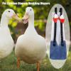Qumiuu Duck Diapers for Pets view 3
