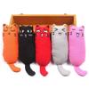 Asttenno Catnip Crinkle Toy view 3