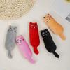 Asttenno Catnip Crinkle Toy view 4