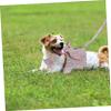 HAPINARY Adjustable Dog Harness Set view 4