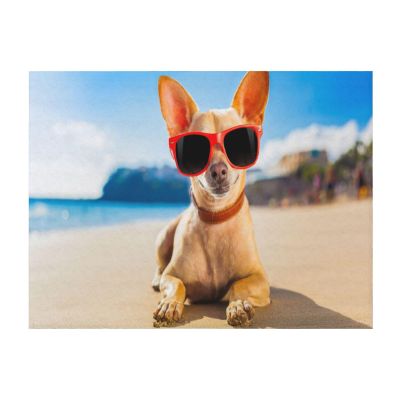 ASEELO 203 x 152 cm Chihuahua Dog Fleece Blanket, Sofa Throw for Bed and Couch, Travel, 240 g/m