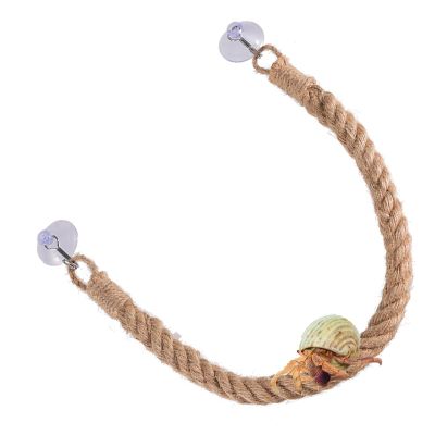 Hermit Crab Rope Ladder