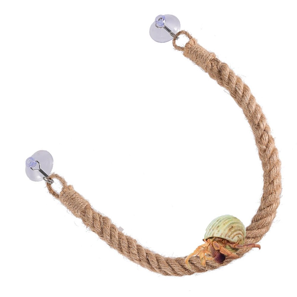 Hermit Crab Rope Ladder