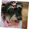 Hohopeti 10-Pack Elastic Hair Ties with Crown for Dogs view 3
