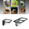 HCLZOE Suction Cup Feeding Bowl for Reptiles and Amphibians view 2