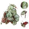 HANABASS 4-Piece Hanging Artificial Plants for Terrariums view 4