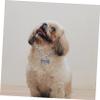 VILLFUL Adjustable Rhinestone Dog Collar view 4