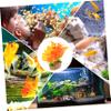 ORFOFE Artificial Aquarium Plant, Lightweight and Durable Fish Tank Decoration view 4