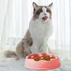 Slow Feeder Cat Bowl, Puzzle Dog Food Bowl view 3