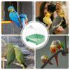 XIAOXIAOYU Bird Bath for Cages, Cockatiels, Spacious view 4