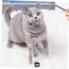 CIYODO 5-Piece Pet Cleaning Sticks view 4