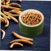 CORHAD Reptile Feeding Bowl view 4