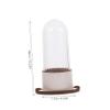 Makeup Brush Cleaner Box with Drying Holder view 4