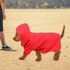 Cute Polyester Pet Winter Warmer Hoodie Sweatshirt for Dogs and Cats (XL) view 3