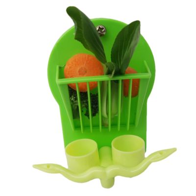 Youngwier Parrot Feeding Toy