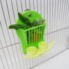 Youngwier Parrot Feeding Toy view 2