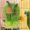 Youngwier Parrot Feeding Toy view 3
