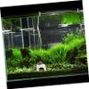 VILLFUL ABS Sun Platform for Turtles and Frogs view 3