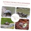 VILLFUL ABS Sun Platform for Turtles and Frogs view 4