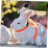 Parliky Harness for Small Pets and Rabbits view 2