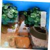 CORHAD Reptile Water Dispenser view 2