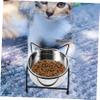 Elevated Stainless Steel Cat Bowl with Double Bowls and Stand, Black view 2