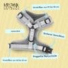 Dog Harness with Leash for Medium-Sized Dogs | Arizona Hotdogs Soft Harness Rglisse | 1.5 m Nylon Leash | Gray (M) view 2