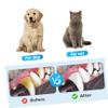 HANABASS Pet Toothbrush Single Head view 2