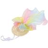 BESPORTBLE Creative Summer Pet Hat view 1