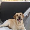 2-Pack Dog Car Door Protectors, Scratch-Resistant, Non-Slip, 72 x 40 cm view 3