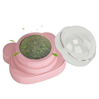 Catnip Toy Balls