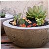 500 g Pebbles, 1 Pack, Yuhua Stone for Landscaping view 4