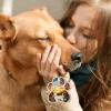 Memorial Sun Catcher, Acrylic Dog Memorial Ornament view 3