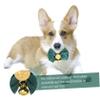COLLBATH Stylish Dog Collar with Bow Knot and Bell view 4