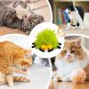 Raxove Catnip Toy Ball for Cats view 4