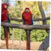 Hanging Ladder Toy for Parrot Cages, 4 Pieces view 3